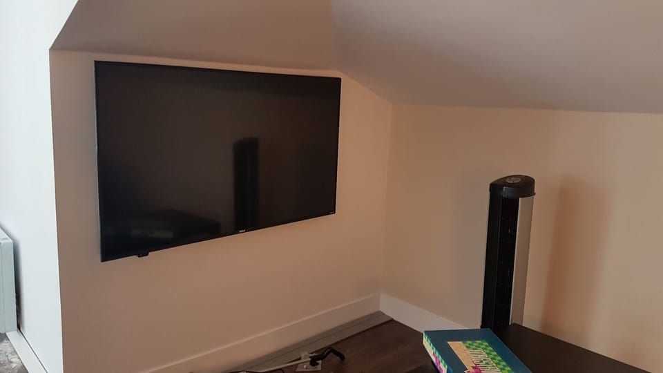 Television