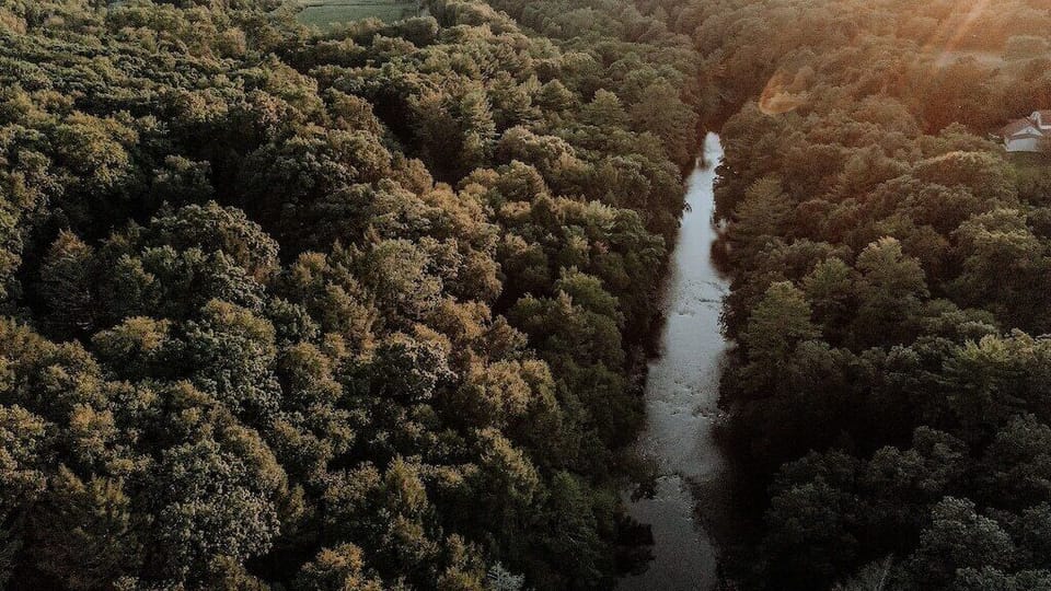 Take the kayal along this majestic creek