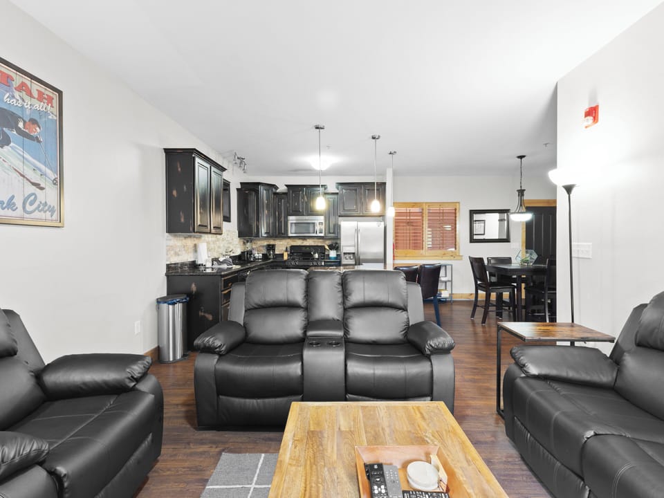 Living Area / Kitchen