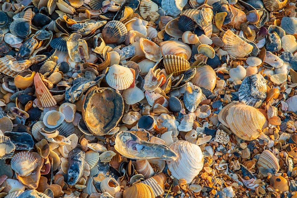 Surf or Sound Realty - Buxton - Scenic Photos -5