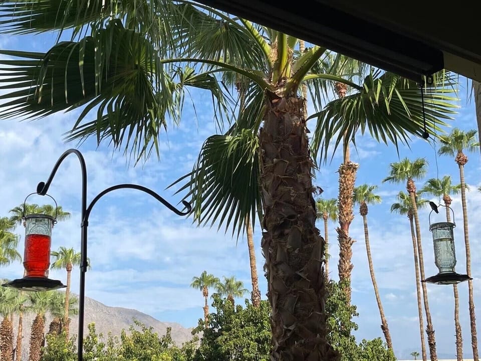 View from property