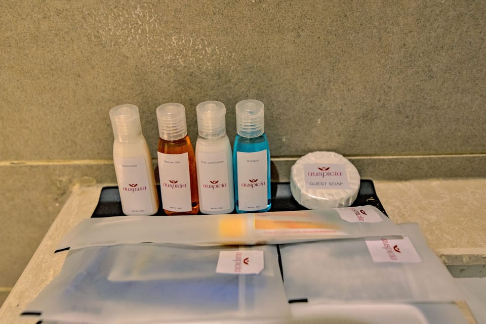 Deluxe Room | Bathroom amenities | Shower, rainfall showerhead, free toiletries, hair dryer