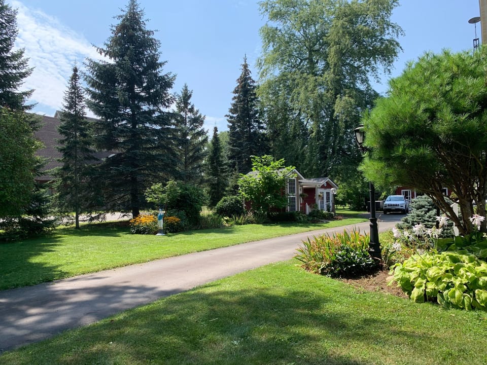 The grounds