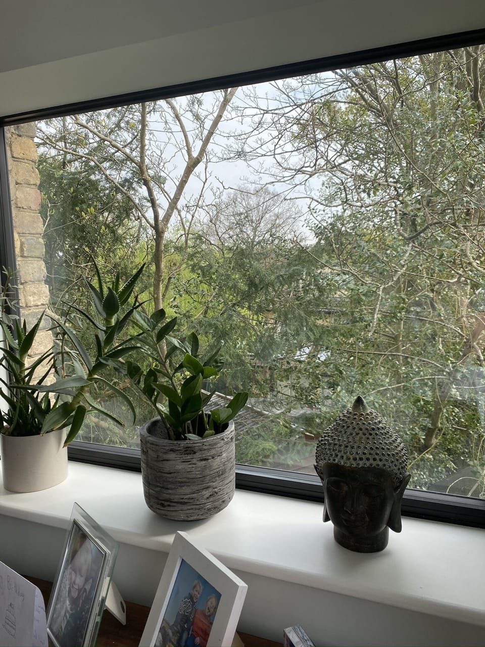 Master window view 