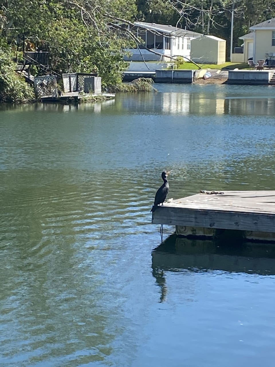 Lake