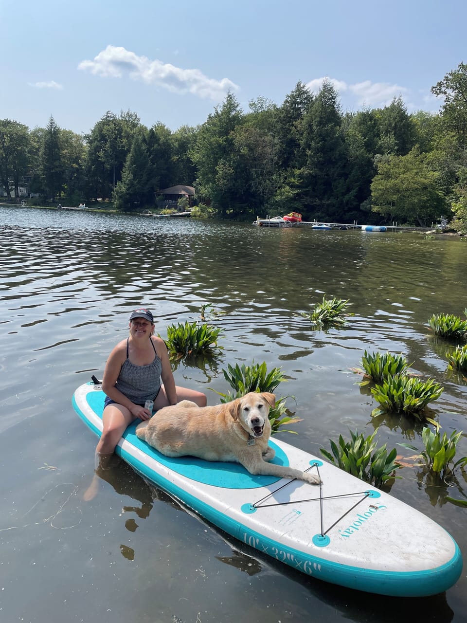 Pet-friendly