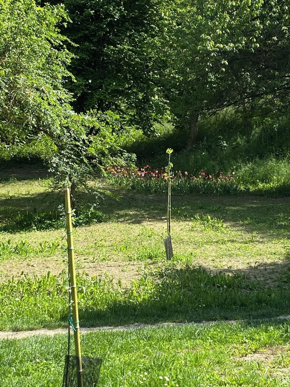 Apartment, 1 Bedroom, Accessible, Smoking | Garden