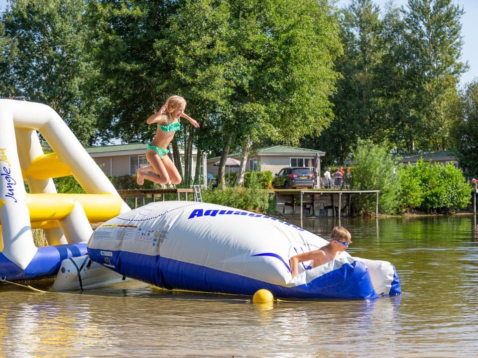 Chic Chalet Near Almelo Chalet in Overijssel (province)