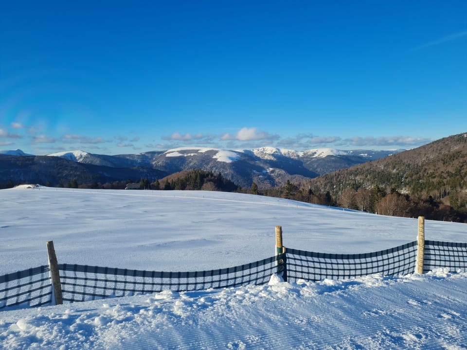 Snow and ski sports