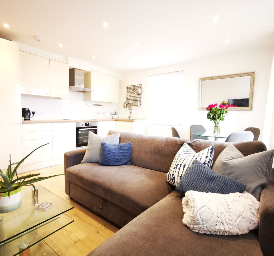Superior Apartment, Private Bathroom | Lounge