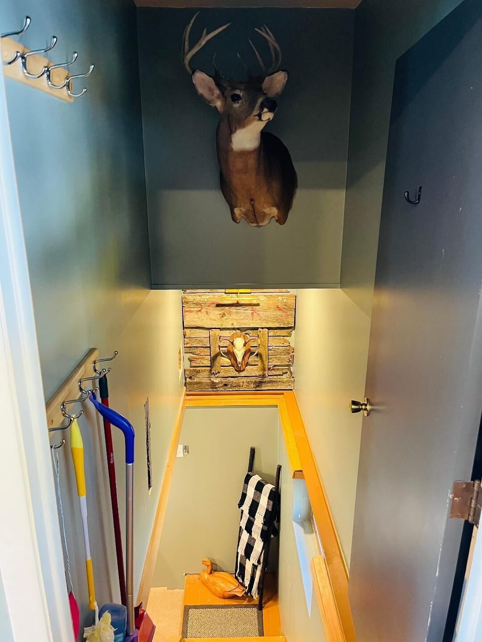 Stairway to the basement bedroom and living room space.