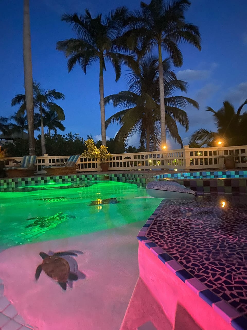 Private pool for only 12 units, shade palapa, water view, hot tub, and lounges.