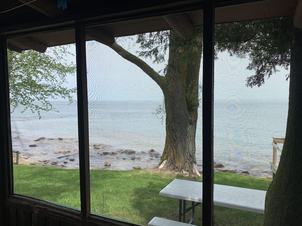 View from the screened in porch 
