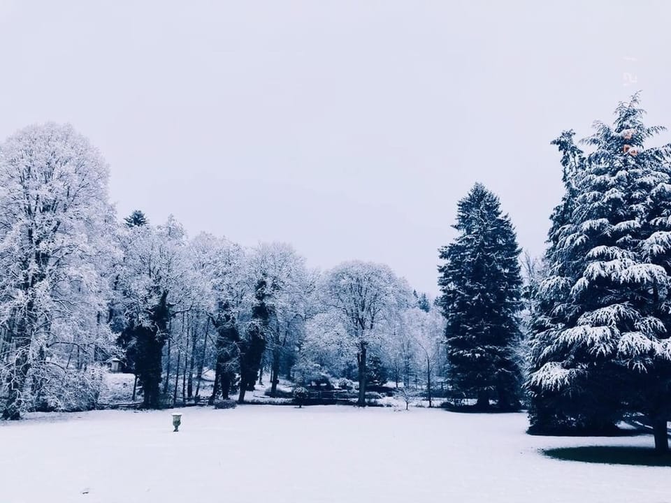 Immediate Surroundings [winter] (<1 km)