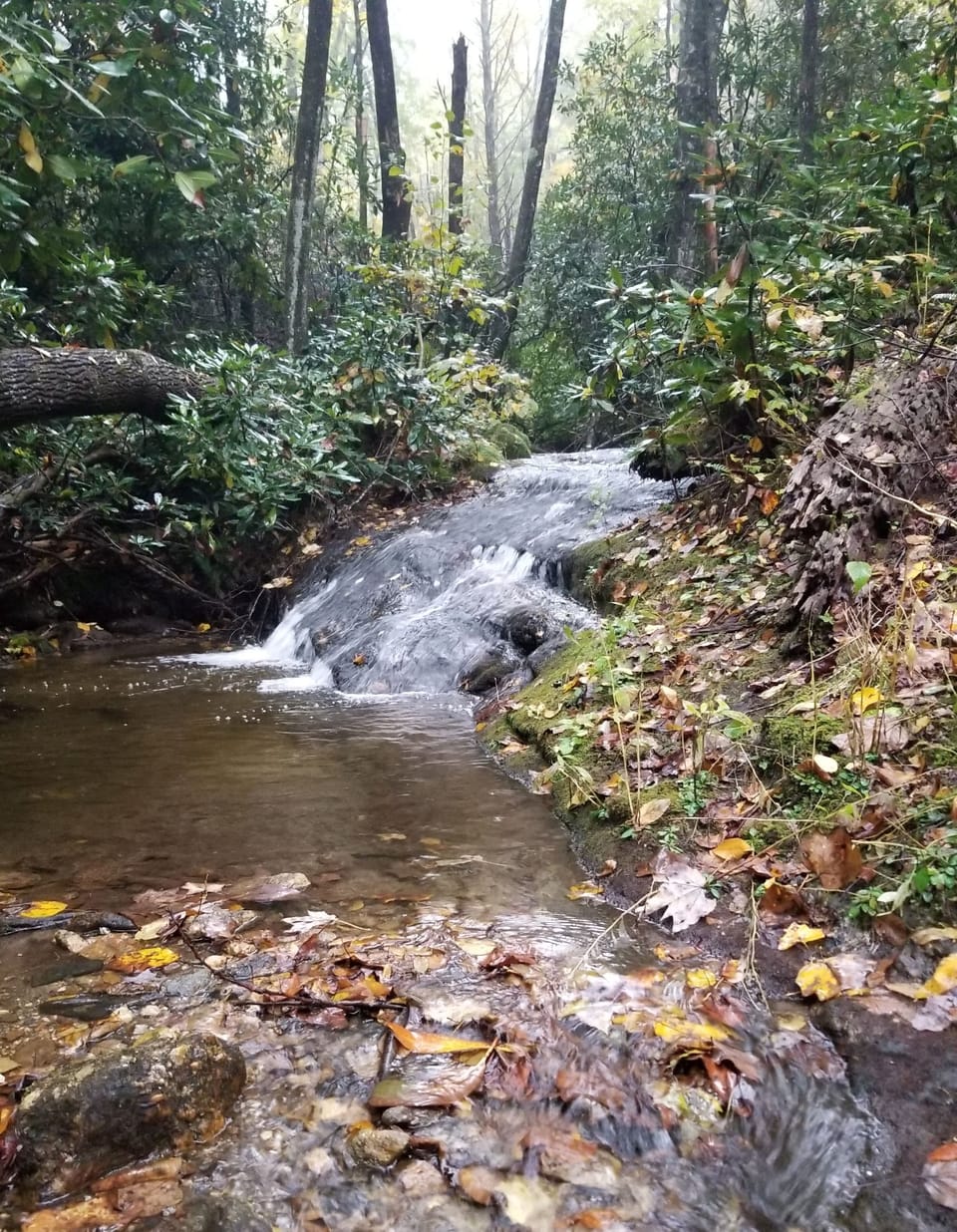 Our own private little waterfall