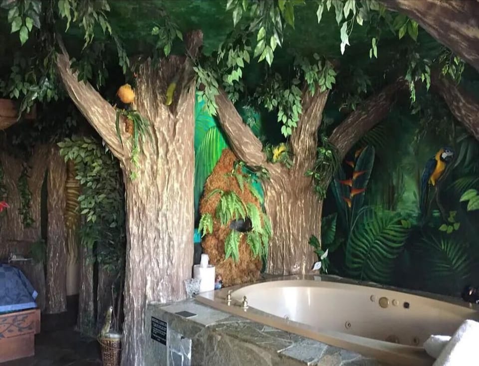 1 King Bed Theme 1 Jetted Tub Non-Smoking(Theme 1 - Jungle, Cave, or 50s Theme) image 6