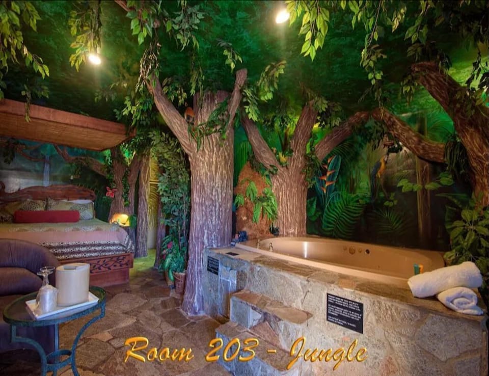 1 King Bed Theme 1 Jetted Tub Non-Smoking(Theme 1 - Jungle, Cave, or 50s Theme) image 5
