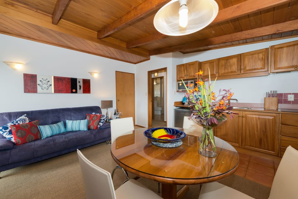 Deluxe Apartment | Private kitchenette | Fridge, toaster, eco-friendly cleaning products