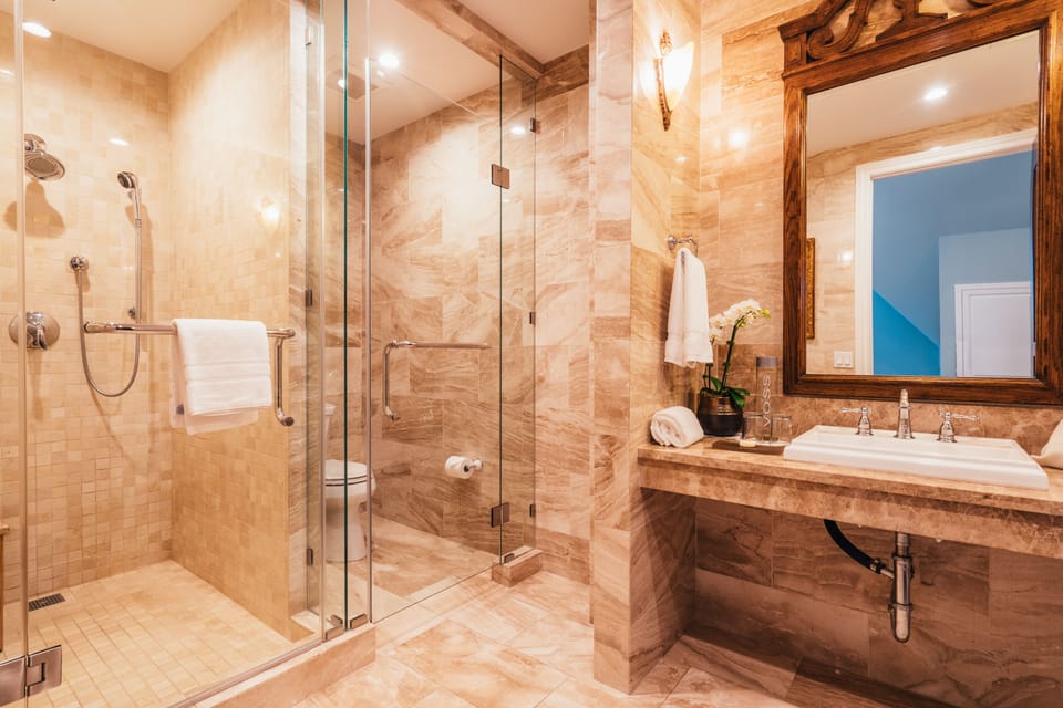Royal Suite | Bathroom shower