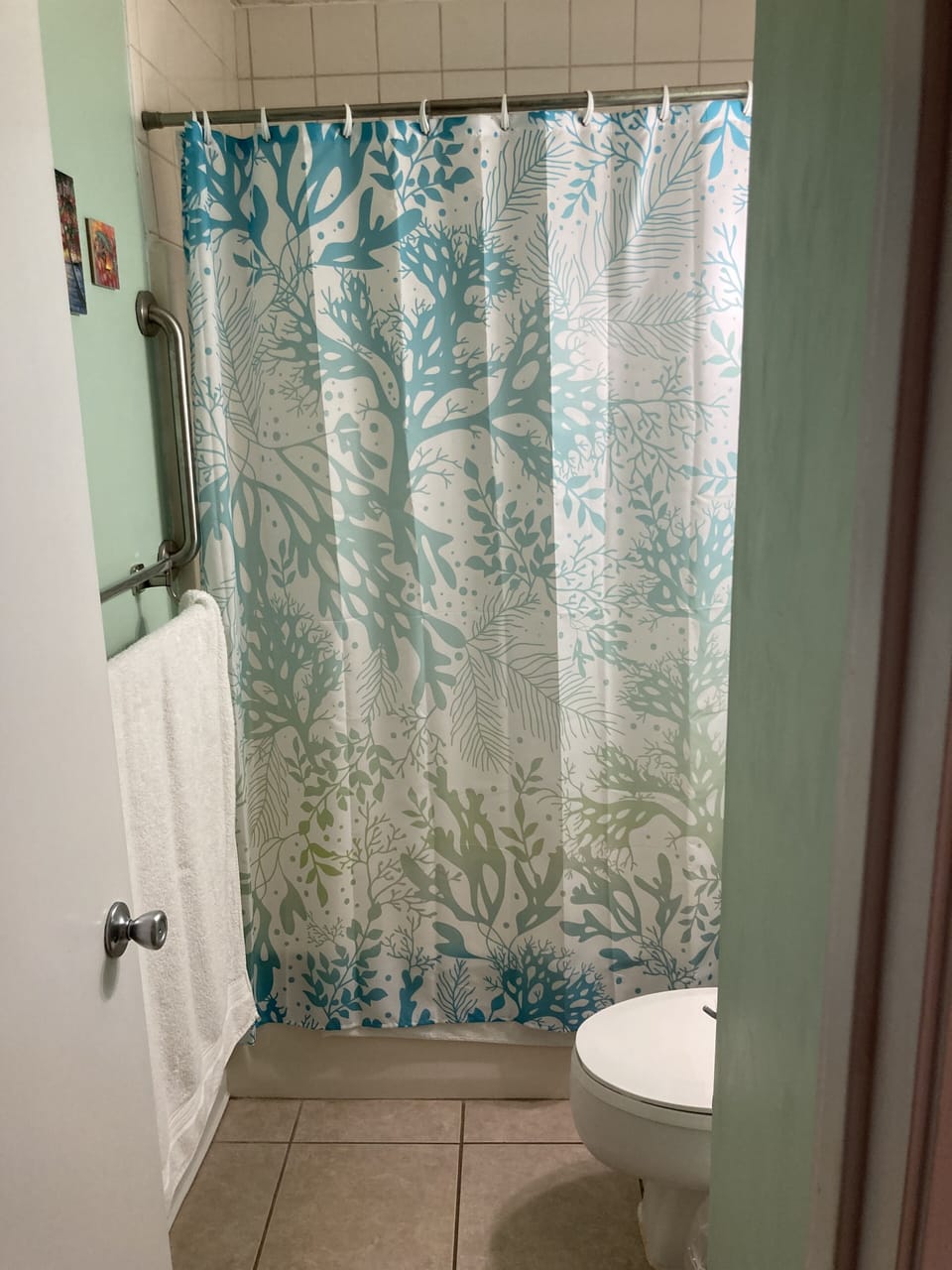 Looking into master bath (shower and toilet)