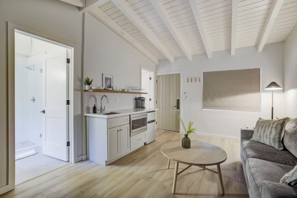 Kitchenette and Living Room Area with Sofa