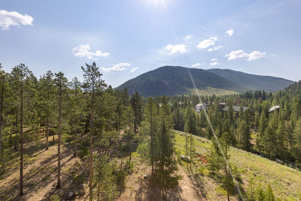 A forested area with tall trees on a sunny day, hills and a few houses in the background, and a bright sun shining in a clear blue sky.
