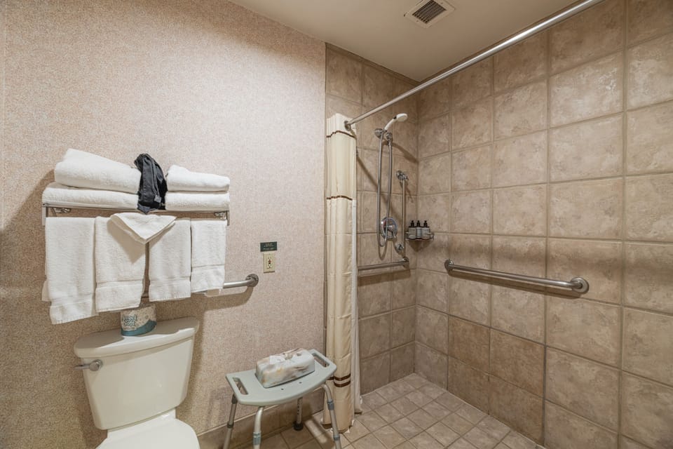 Room, Indoors, Bathroom, Toilet, Shower Faucet