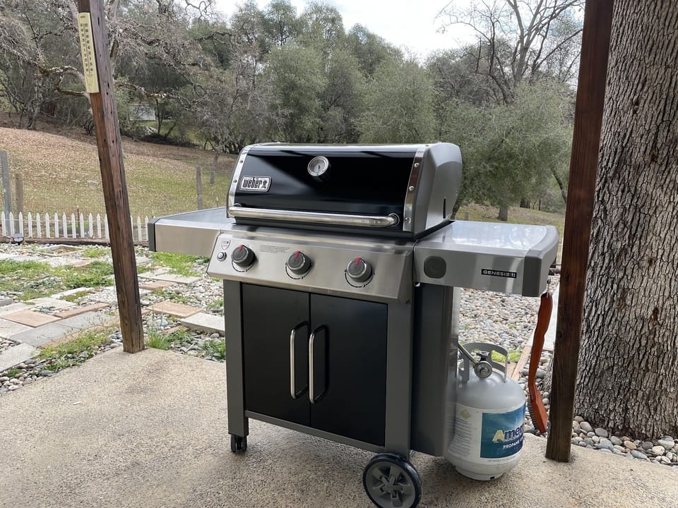 New Weber Grill