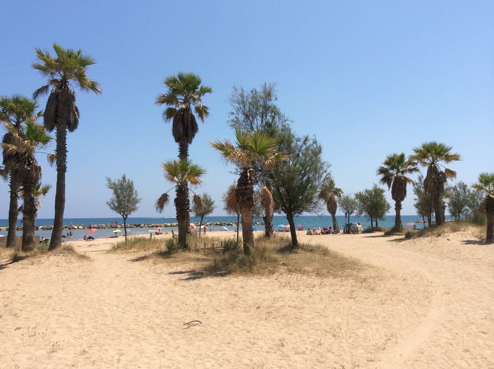 Beach