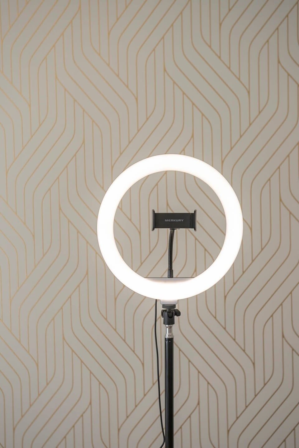 Stand up Ring Light!