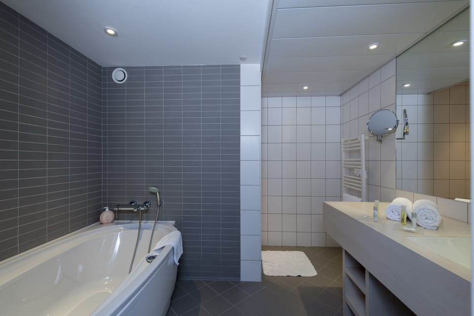 Suite | Bathroom | Free toiletries, hair dryer, towels