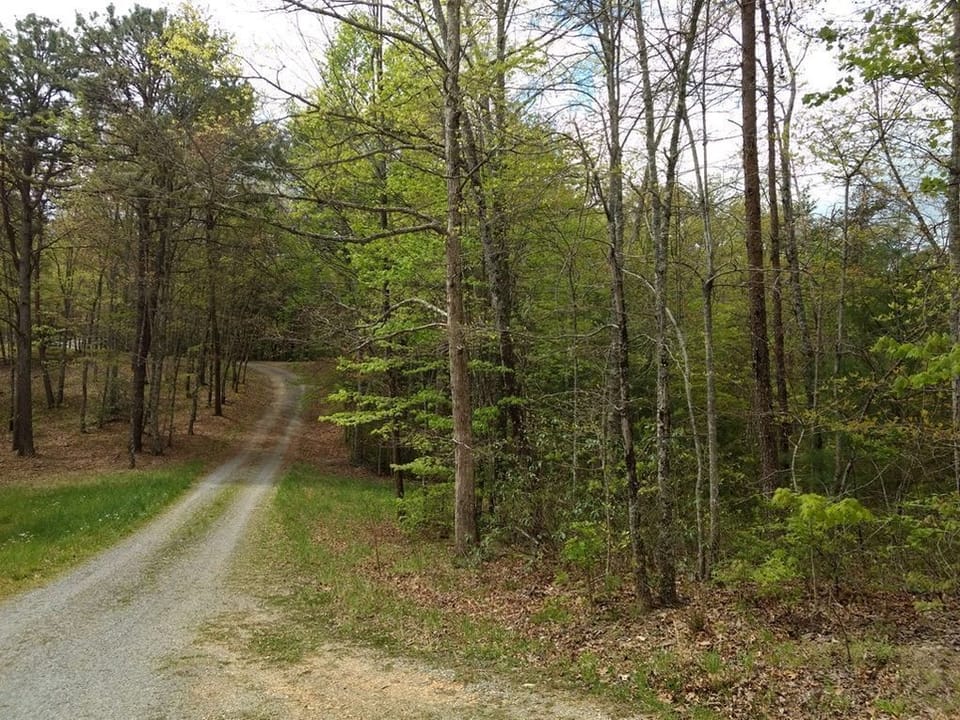 The Road to the Gypsy Road