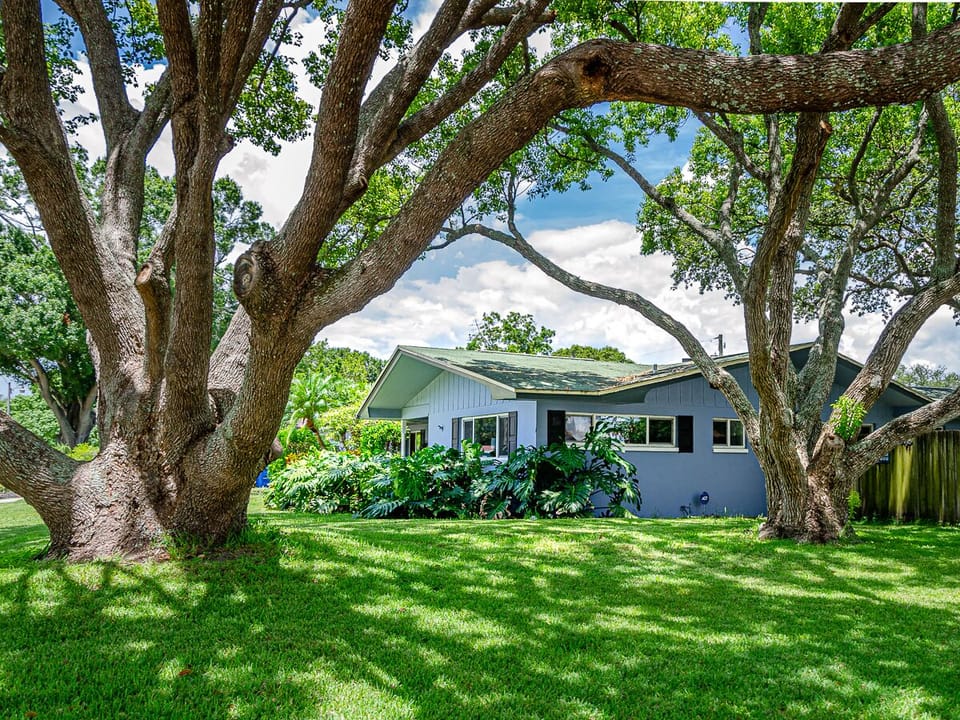 Beautiful, quite neighborhood lined with oak trees