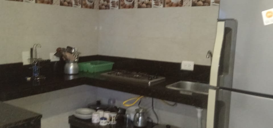 Standard Apartment | Private kitchen | Fridge, microwave, dishwasher, coffee/tea maker