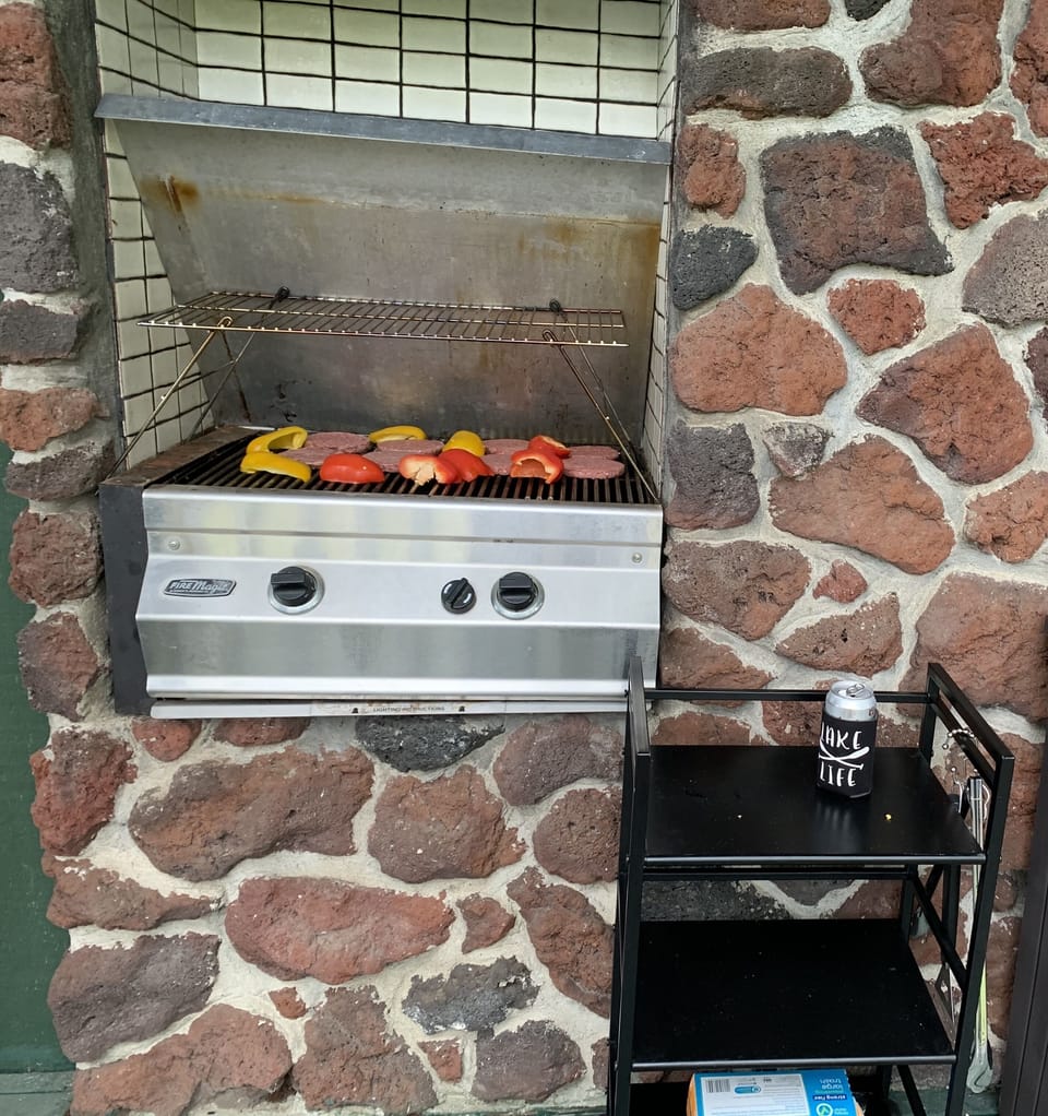 Outdoor gas grill.