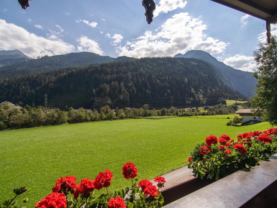 View from Holiday Home [summer]