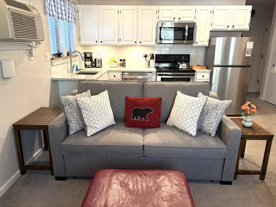 Living room w/Queen pullout sofa