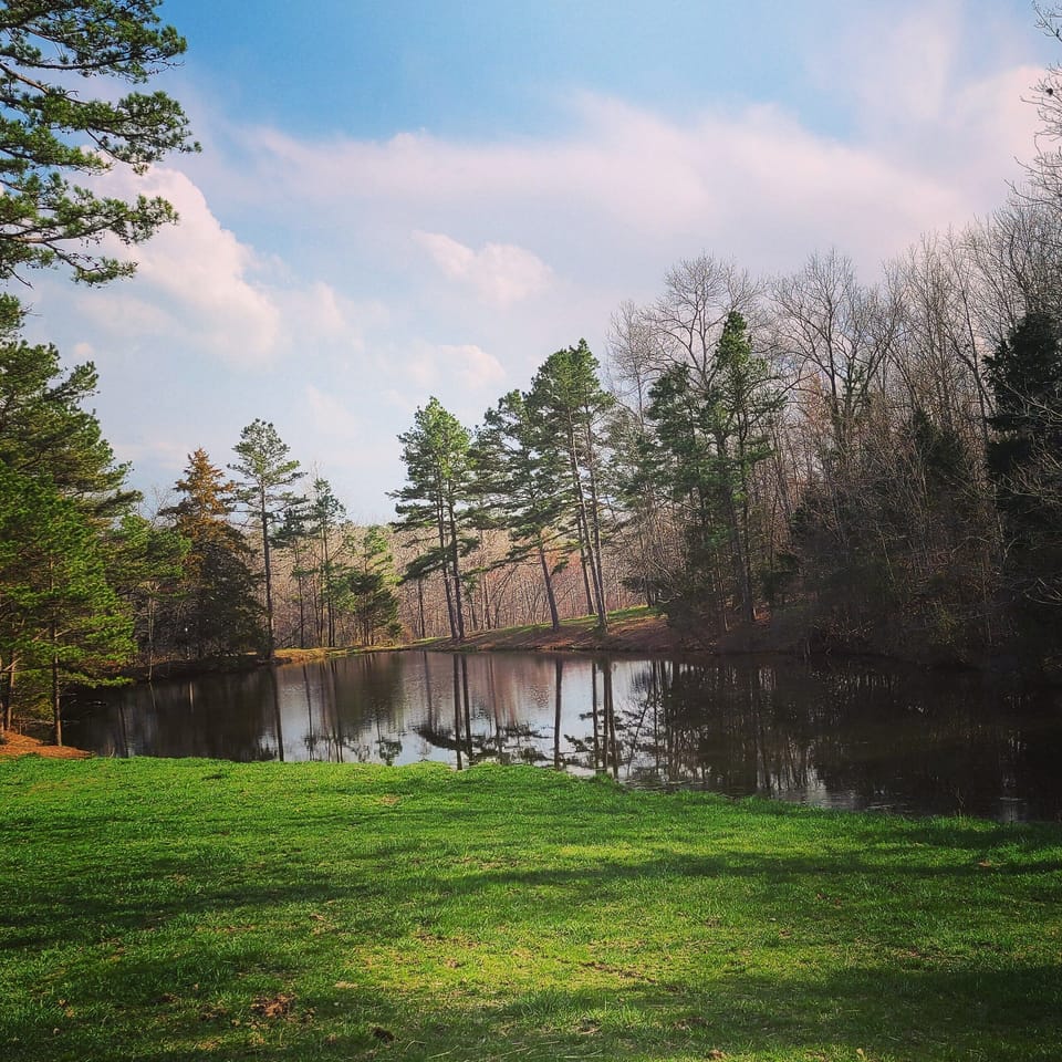 one of the many ponds near by the property 