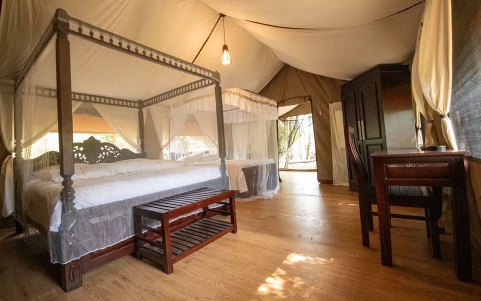 Executive Tent | Free WiFi, bed sheets