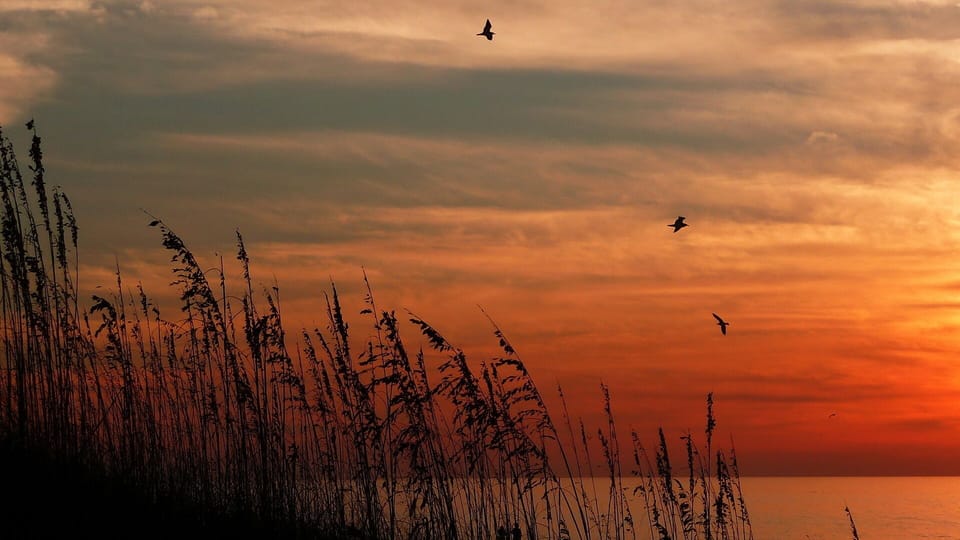 Beautiful Florida Sunsets