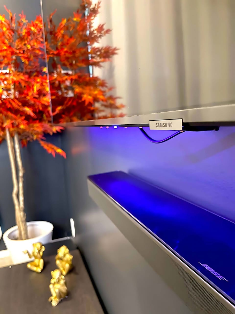 Bose Stereo Sound Installed In The Living Room