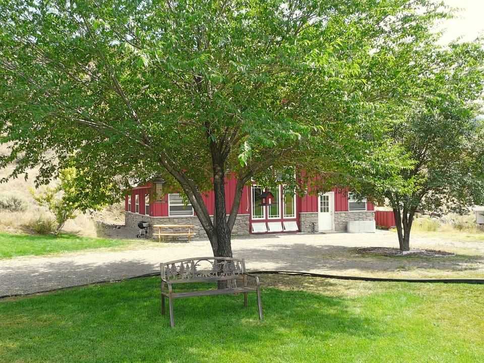 Front yard