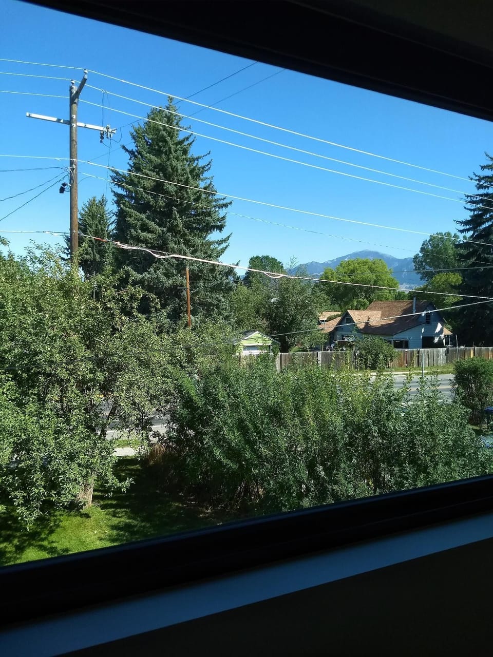This is the view to the north from the upstairs window.