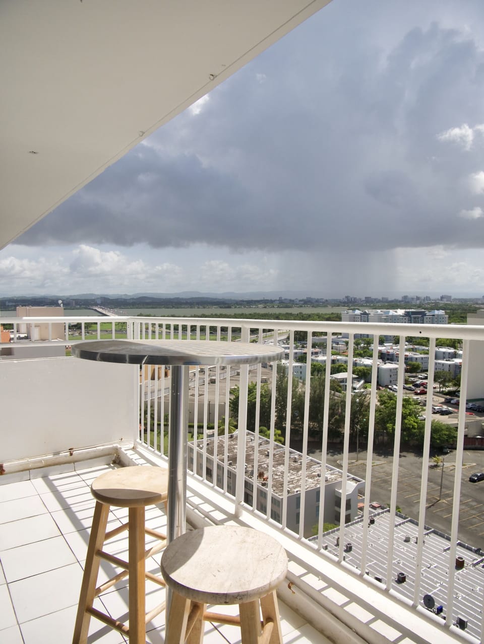 North Rainforest view 