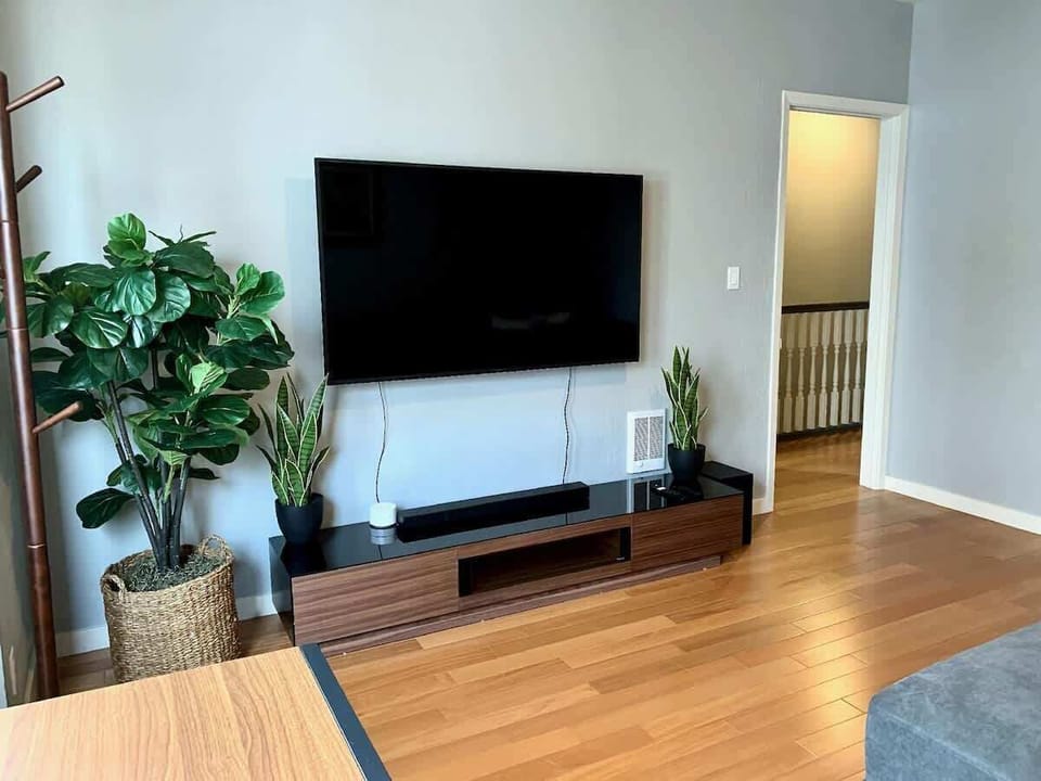 Large TV in the Living Room...