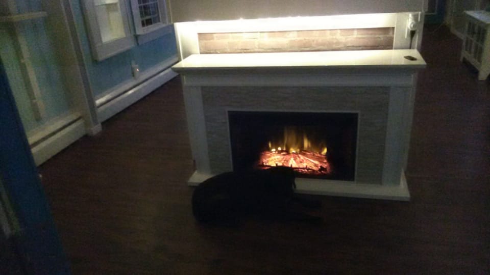 Extra Fireplace in Kitchen