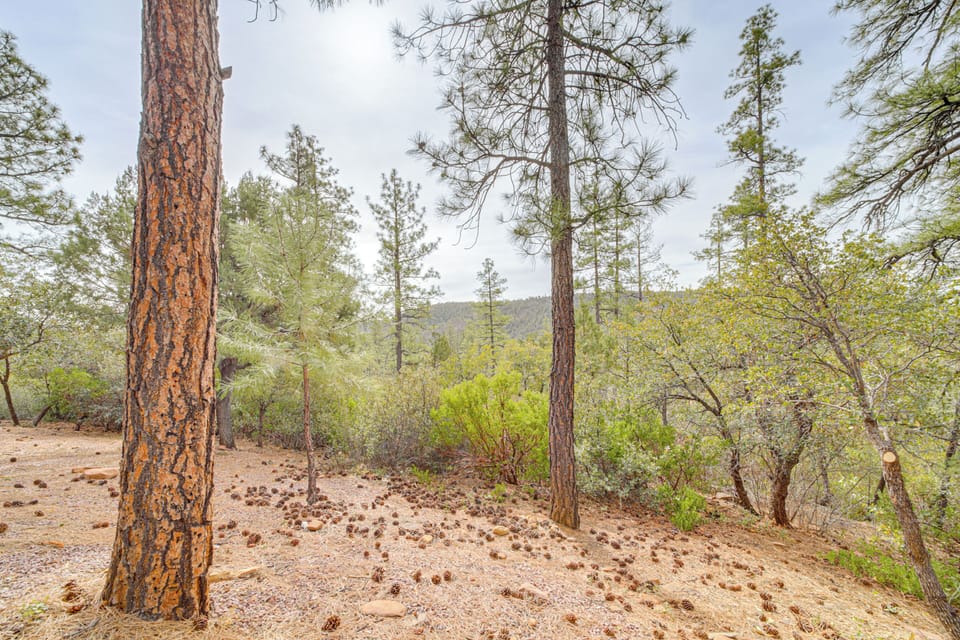 Property Views