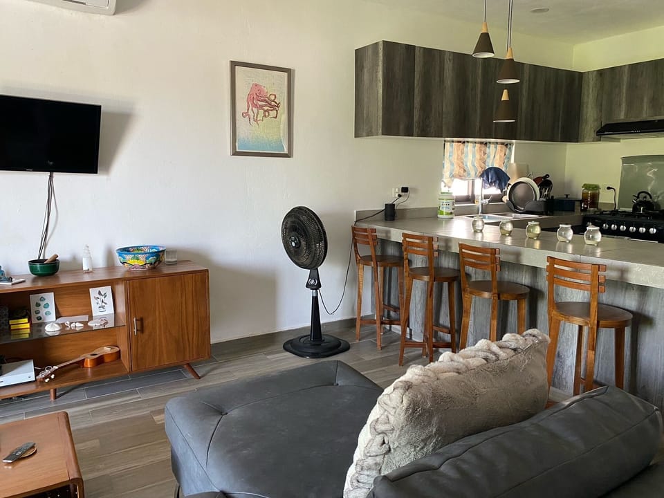 Dinning area / TV