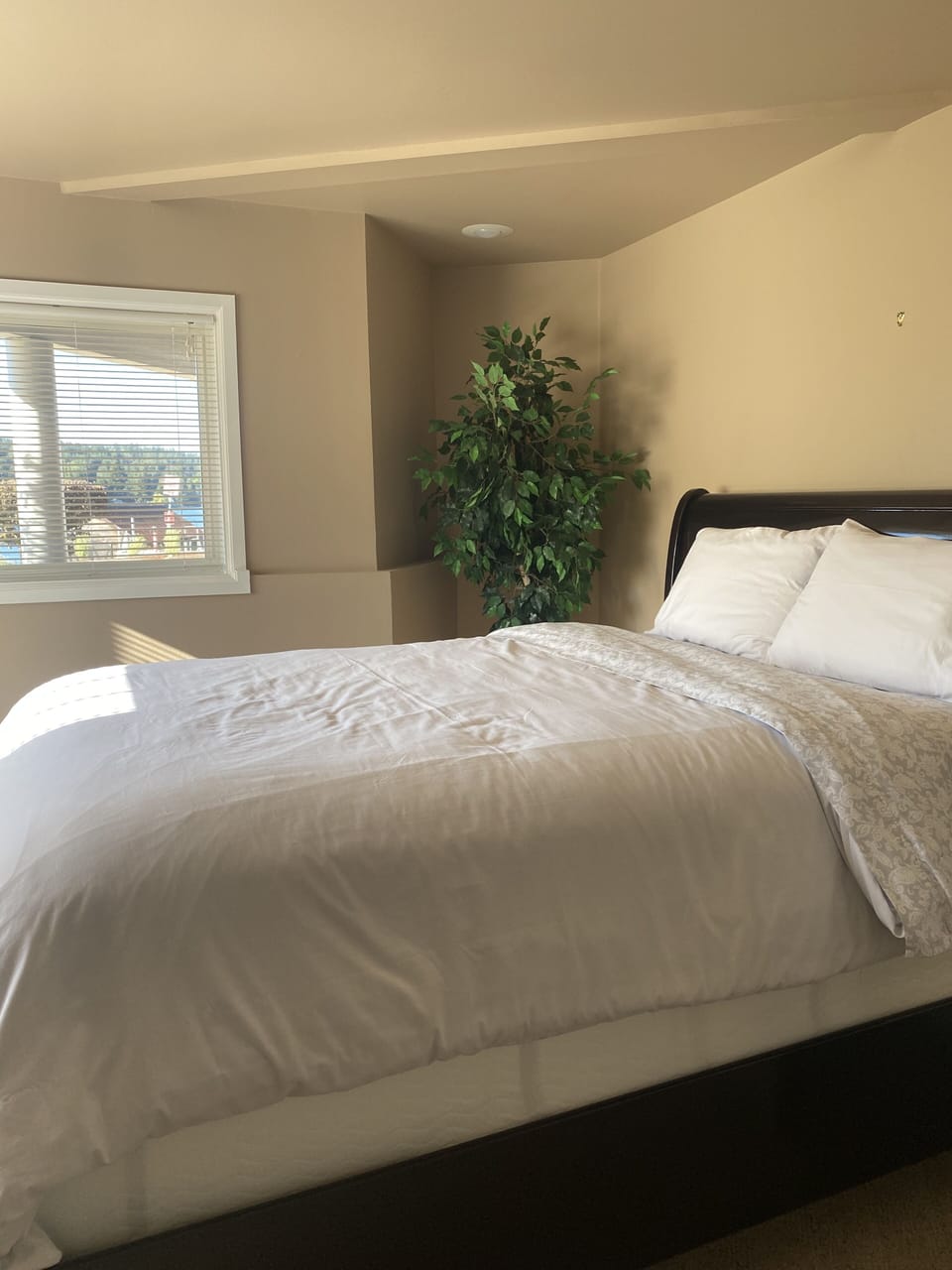 Amazing bed for you!