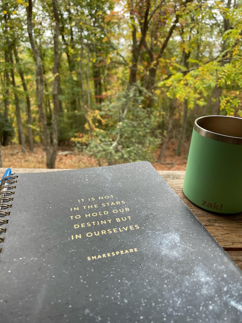 Best spot in the house for journalling and morning coffee.